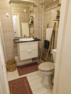 Bel Appartement Parisien - Paris - 6