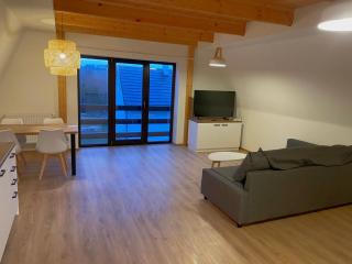 Apartmán na Vysočině - 1