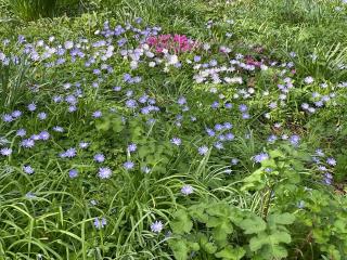 Penarvon House - Stunning Waterfront Escape with Games Room - 8