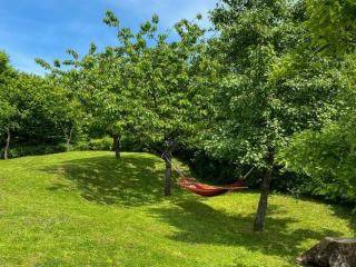 Apartment Maklen-2 by Interhome - 9