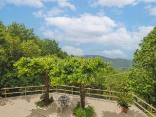 Holiday Home Alba by Interhome - Camaiore - 6