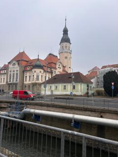 Apartments Bílina - 1