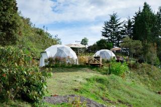Amore Mio Glamping - 1