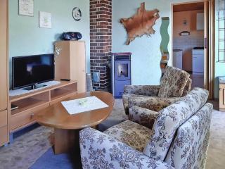 Ferienhaus, Jagdshof - Judenbach - 0