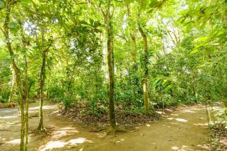 Camping Finca Planeta Sano - Naranjito - 1