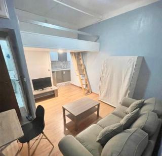 Le Roquet - Appartement hyper centre Laval - Laval - 6