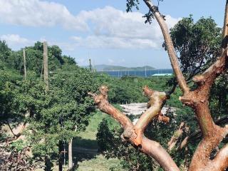 Tropical Treehouse In Paradise St Thomas - - 1