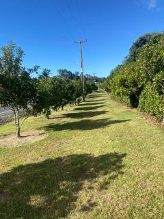 Presshouse BnB - Mangonui - 7