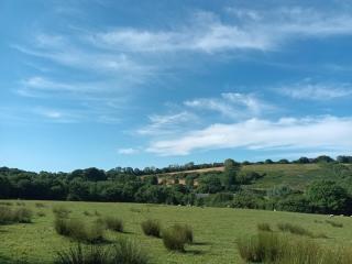 Lower Hearson Farm Cottages, animal experiences, seasonal outdoor heated pool, games barn, free fast WiFi, free parking - 3