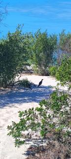 Villa 74 - Celestún - 1