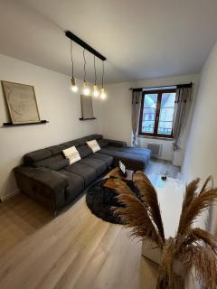 Jolie T2, 55 m, centre ville soultz - Soultz-Haut-Rhin - 9