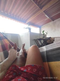 PV house - 0