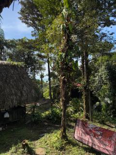 Samai - Buenaventura - 6