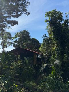 Samai - Buenaventura - 3