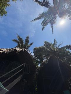 Samai - Buenaventura - 2