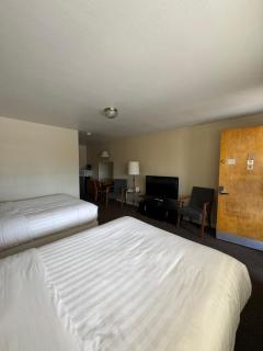 Sage Motel - Newcastle - 3