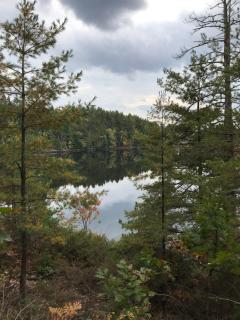 Small Muskoka Cottage- Gibson Lake - Bala - 9
