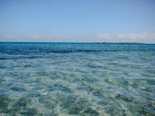 La Caletta Apartments - a 100 mt dal porto - 9