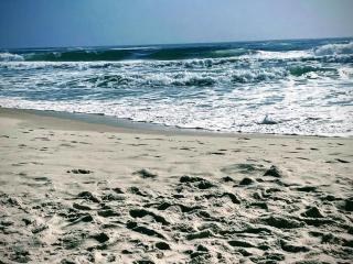 Origin Unit 911 - Panama City Beach - 1