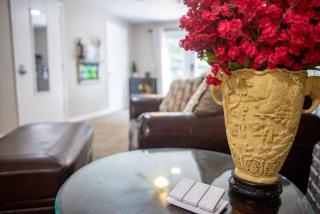 Moon River Smart-Suite near Interstate 44 and Airport - Republic - 3