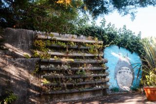 Quinta das Almas - São Roque do Pico - 8