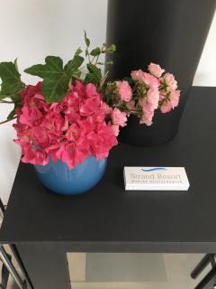 Ostsee - Appartement "Pier 77" im Strand Resort - Heiligenhafen - 5