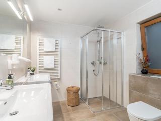 Alpensteinbock Saalbach L - 5