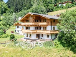 Alpensteinbock Saalbach L - 5