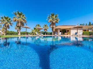 Pet-friendly country house with pool - 4
