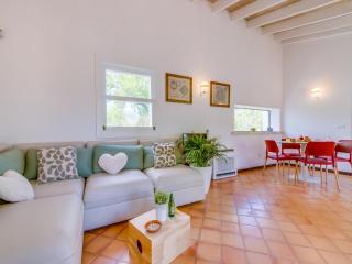 Country house with pool in Mallorca - Selva - 1
