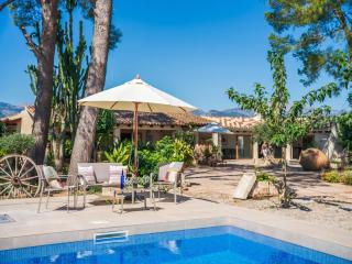 Finca near Serra de Tramuntana - Binissalem - 1