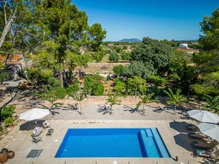 Finca near Serra de Tramuntana - Binissalem - 3
