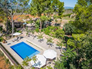 Finca near Serra de Tramuntana - Binissalem - 2