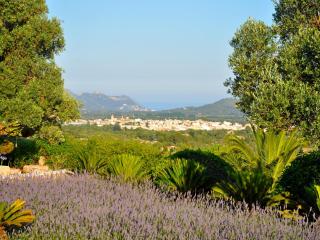 Country house near Cala Torta beach - Artà - 9