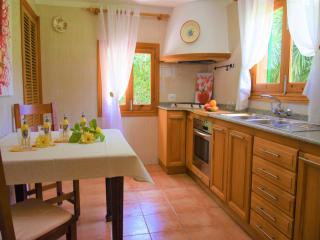 Finca in Mallorca with private pool - Búger - 7