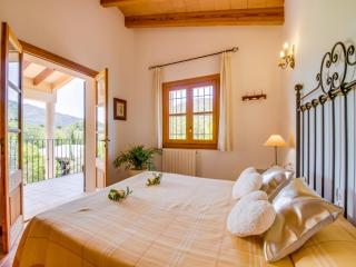 Finca in the heart of Mallorca - Selva - 1