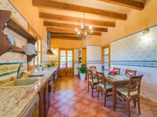 Finca in the heart of Mallorca - Selva - 0