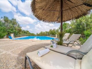 Stunning country house in Petra - Petra - 1
