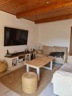 Villa cascada - Sant Cebrià de Vallalta - 8