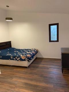 Tiny house en el bosque a 10 min de Valdivia, Wifi, Smart TV, free Parking - 1