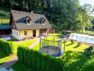 Lavish villa in Rudnik with private hot tub - Rudník - 1