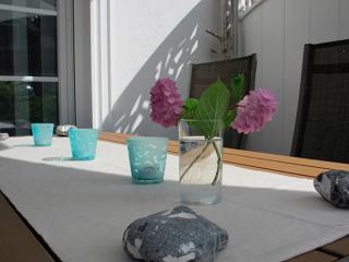 Villa Carpe Diem,Whg 1 - Zingst - 8