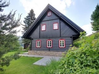Villa in Horni Marsov with garden - Horní Maršov - 0