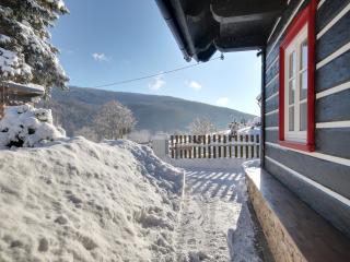 Villa in Horni Marsov with garden - Horní Maršov - 6