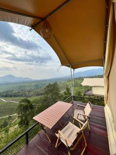 Nimo Tea Resort - 8