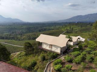 Nimo Tea Resort - 6