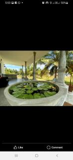 Amigoes Kite Resort - Kalpitiya - 9