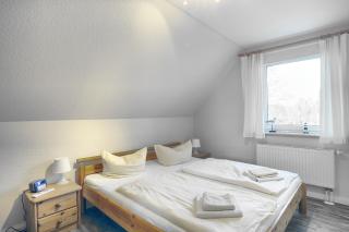 Küstentied - Zingst - 1