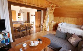 Ferienwohnung Seeblick Nr 3, 2 Zi-Bärental, Feldberg - Rotwasser - 9