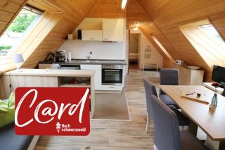 Ferienwohnung Seeblick Nr 5, 2 Zi-Bärental, Feldberg - Rotwasser - 0